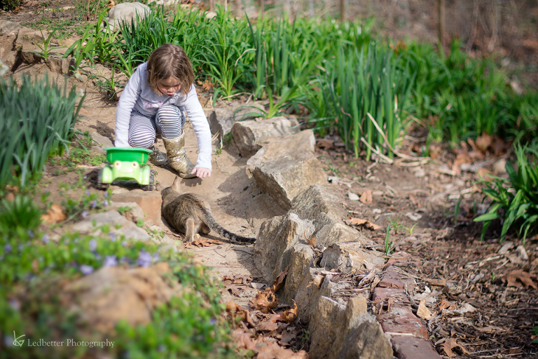 3-19free-10_25347338573_o