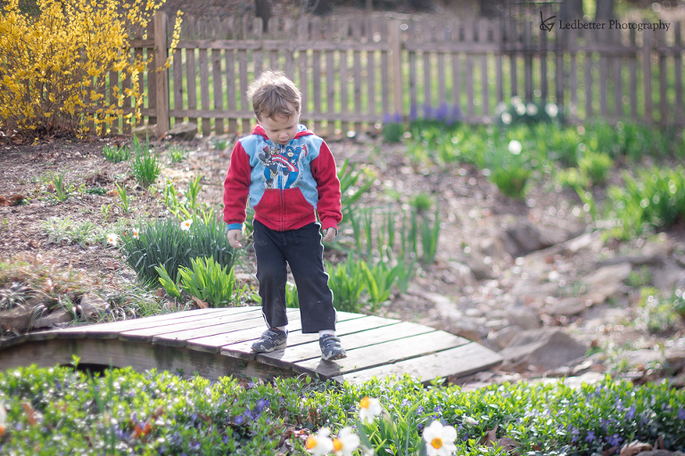 3-19free-14_25675512640_o