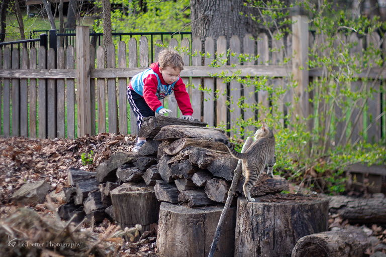 3-19free-16_25881112751_o