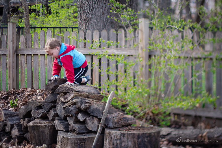 3-19free-17_25855267592_o