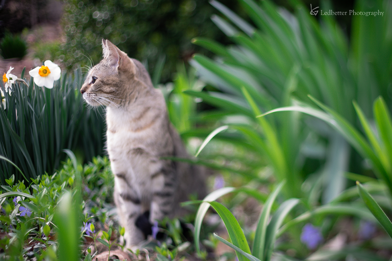 3-19free-3_25881111981_o