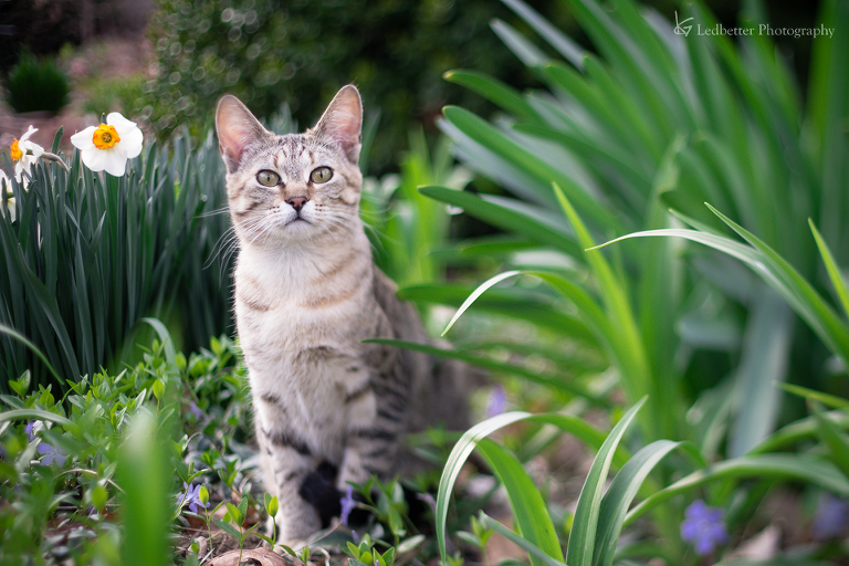 3-19free-4_25950161526_o