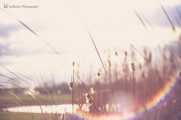 img_3719-2_25425578763_o