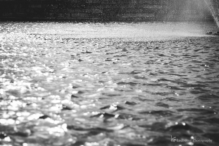 img_4190-2_26099914635_o